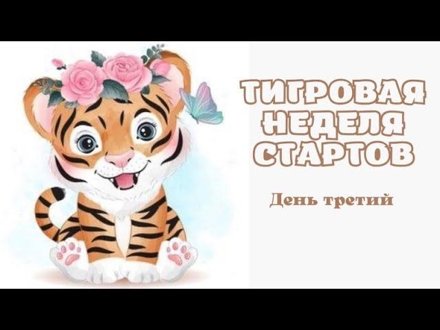 ТИгровая неделя стартов/ день третий/ 13.10.2021 #тигровая_неделя_стартов_