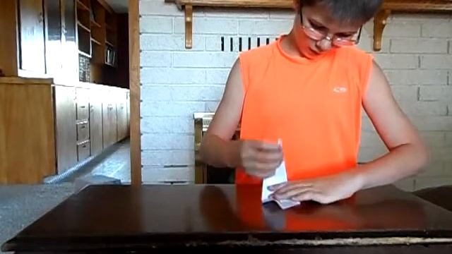 how to make a origami pelican ep 1 step by step смотреть онлайн