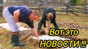 ВОТ ЭТО НОВОСТИ | У меня в квартире газ А у Вас | Дом в деревне | Деревенские будни