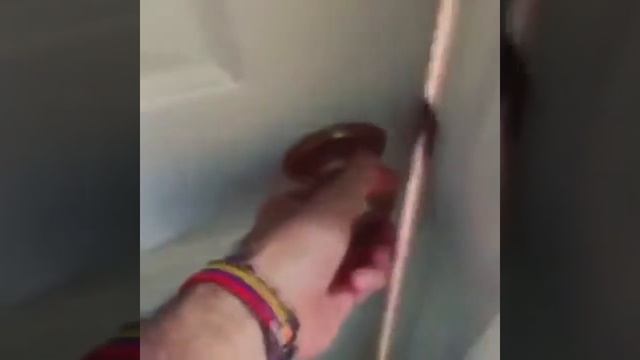 Как хозяина встречает кот и собака max.video ржака смотреть онлайн