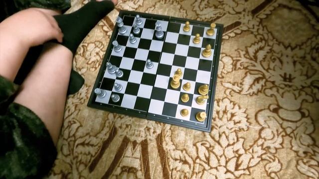 В ШАХМАТЫ С ПАПОЙ. Кто кого? Шапалайк шоу.