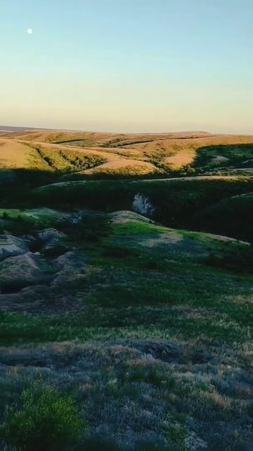 Ведьмин клык смотреть онлайн