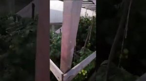 Змеевик для подогрева бассейна