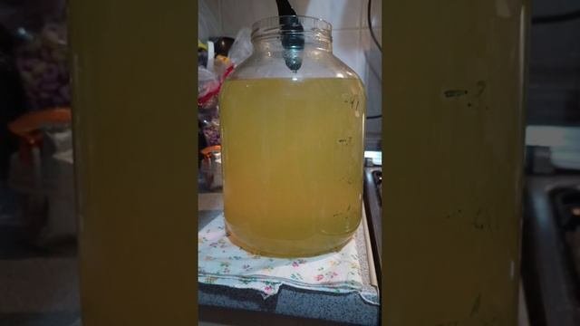 самогоноварение и напитки