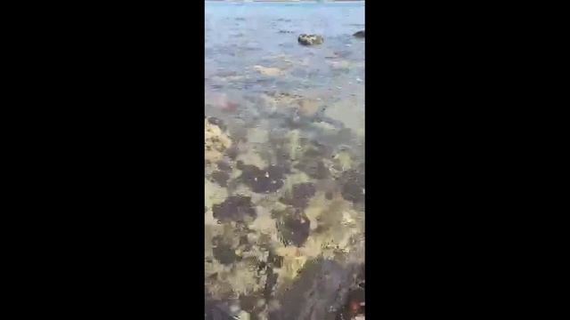 SAI KUNG ISLAND #saikung #hongkong #island #nature #beautiful #justwenx смотреть онлайн