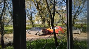 Доброе утро вторника! Тюльпаны дома!
