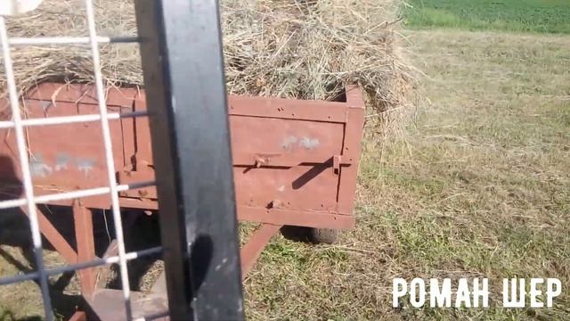 🔴 Роман Шер 023 СЕНО Трактор Т 25 ВЛАДИМИРЕЦ Трудовые будни в деревне 2019 смотреть онлайн