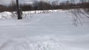 Ранняя весна Pogoda v Sibiri