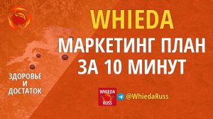 WHIEDA Маркетинг-план за 10 минут