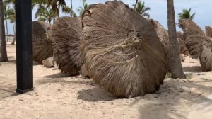 Salalah Rotana Resort Stay | Best place to stay | Dubai to Salalah | Part 2