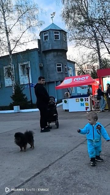 Милан "ругает" собаку