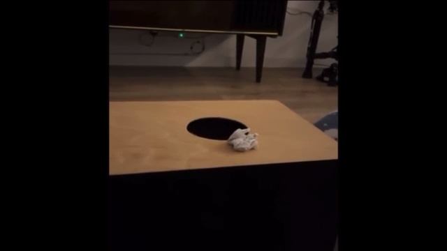 Смешные котики