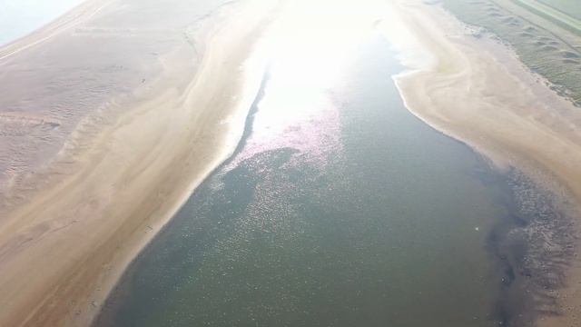 ceres 7 11 2020 смотреть онлайн