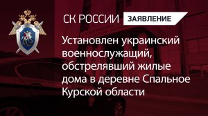 Установлен украинский военнослужащий, обстрелявший жилые дома в деревне Спальное Курской области