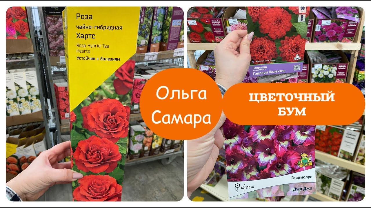 РОЗЫ  Лемана ПРО⚠️ Первый ЗАВОЗ  Семена цветов и овощей  Январь, 2025