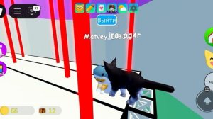 играю в роблокс в игру игра с котятами