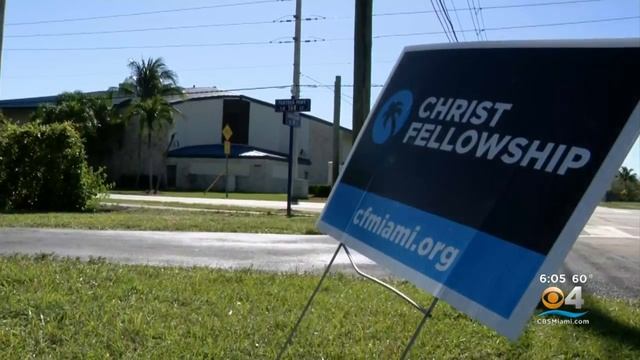 Exclusive: Pack Of Wild Dogs Has Palmetto Bay Area Residents On Edge смотреть онлайн