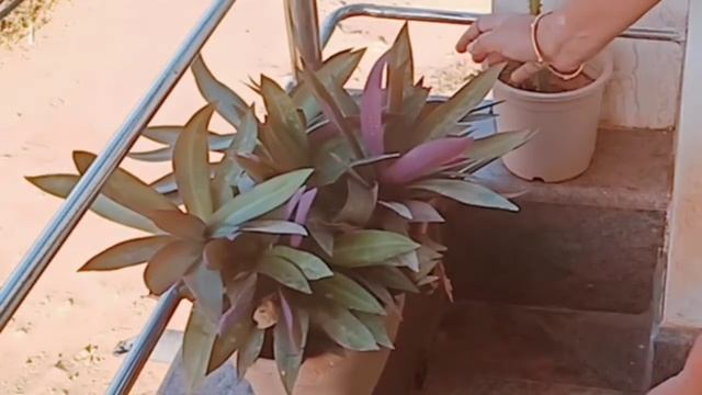 Balcony Cleaning Makeover and Organization | Balcony Makeover Tips| Indian Balcony Makeover and Tou смотреть онлайн