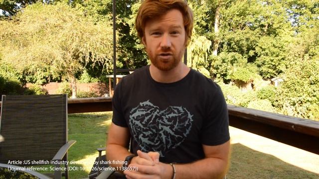 WHY ARE SHARKS SO IMPORTANT? Learn why Sharks are so vital to the ecosystem and to the economy! смотреть онлайн