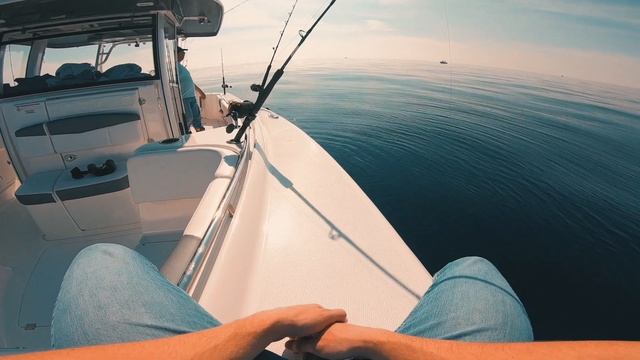 Episode 7 | Cortes Bank | San Diego Bluefin Tuna Fishing смотреть онлайн