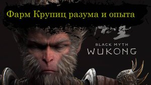 Black Myth: Wukong фарм крупиц разума и опыта
