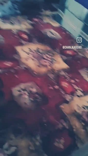 #чихуахуа #chihuahualove #minichihuahua #собаки #чихуашка #собакаулыбака #чихуахуаблог #пес #собака смотреть онлайн