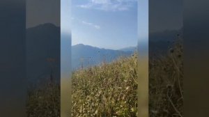 Прогулка по хребтам Аибги и спуск по черничной тропе