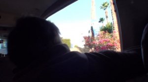 Дайвинг в Шарм-эль-Шейхе январь 2025