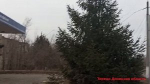 ТОРЕЦК (ДЗЕРЖИНСК) ДОНЕЦКАЯ ОБЛАСТЬ - ВЕСНА 2024 / ВИДЕО ИЗ СОЦСЕТЕЙ.