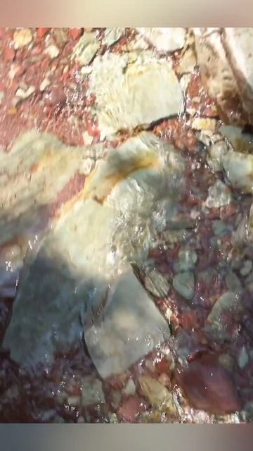 Hiking Glacier National Park Grinnell Trail #roadtrip #travel #explore #usa #motivation смотреть онлайн