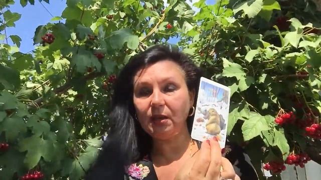 ТАРО Cоветы – ВОДОЛЕЙ Октябрь 2019