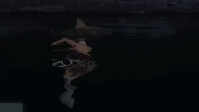 Coddy VS Shark смотреть онлайн