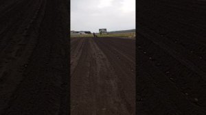 Посадка картофеля мотоблоком мб. Как засыпать картофель