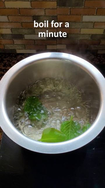 Health Benefits of Indian Borage Drink #shorts | Mexican mint | Mexican mint drink recipe | Drink смотреть онлайн