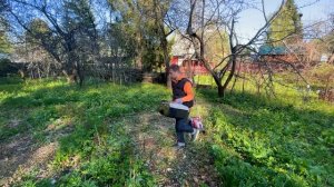 Работа на участке и знакомство с подписчиками. Советская дача в лесу Выпуск №2