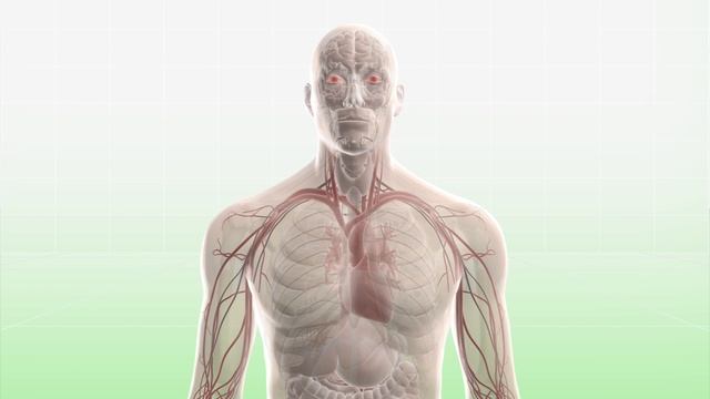 Deadly snake bites, kills hockey player in Australia's Northern Territory смотреть онлайн