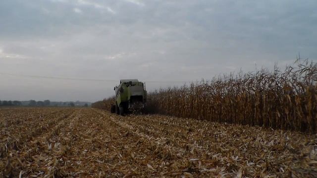 Kukurydza na ziarno 2014Claas Tucano 320