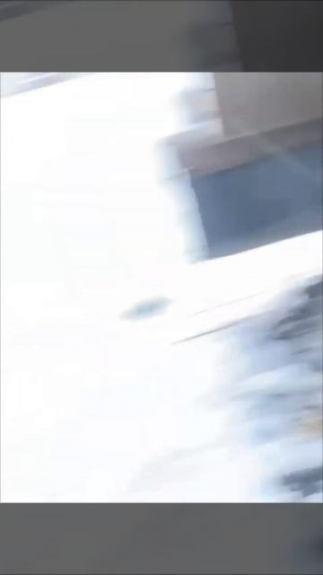 Щенки с мамой замерзают😰 Нужна ваша помощь в распространии видео.  Кемеровская область. Новокузнецк смотреть онлайн