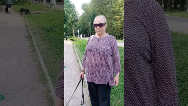 Мишель - Благородный пёс из приюта. смотреть онлайн