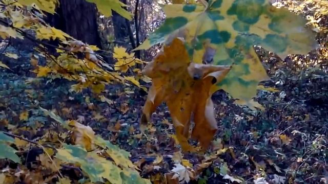 Последние дни осени смотреть онлайн