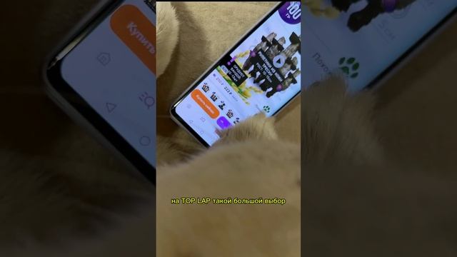 Разоблачение сушеных лакомств для собак. Top Lap