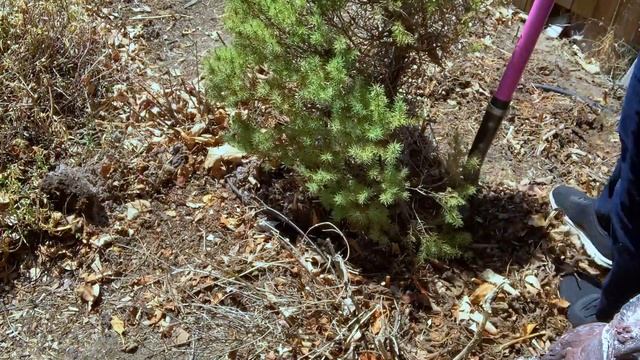 SPRING GARDEN IN THE MOUNTAINS 2023 🌷🌿 смотреть онлайн