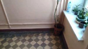 Сталинка с консьержем! | Распашной лифт ЦРМЗ 1987 г.в., V=0,65 м/с, г/п 240 кг