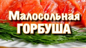 ГОРБУША МАЛОСОЛЬНАЯ! Нежная и Сочная как СЕМГА! Как Засолить Красную Рыбу! Семужный посол рыбы!
