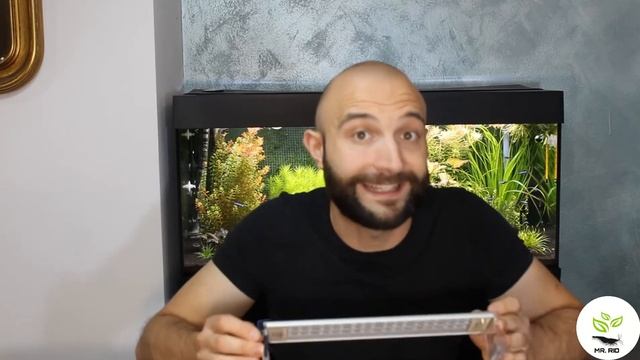 Come funziona la luce in acquario? Quale scegliere? Plafoniera LED o NEON? смотреть онлайн
