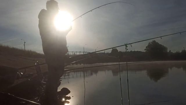 Рыбацкое проклятие! Карась монстр! Зарисовки с 3 рыбалок. смотреть онлайн