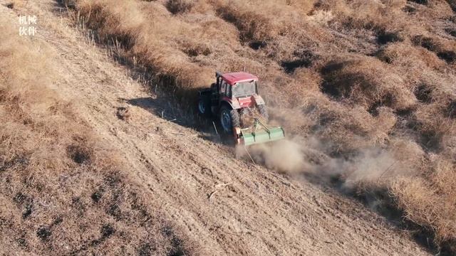 中国一拖YTO｜东方红LX1304拖拉机在枯草之海开荒｜清茬机 смотреть онлайн