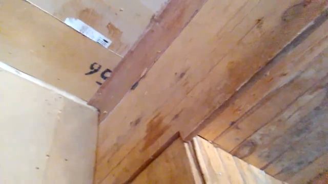 Мы строим домик для бездомных смотреть онлайн