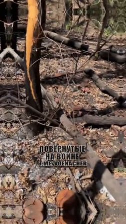 Уничтоженная гаубица М109 ВСУчек где-то на фронте.