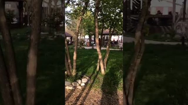прогулка по базе отдыха